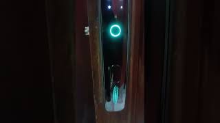 Smart Door Lock L11 [upl. by Orlene]