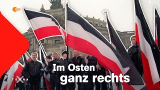 Geschichte der Rechtsradikalisierung in Ostdeutschland  Terra X [upl. by Annaj7]