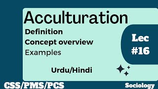 What is Acculturation  Definition and meaning of Acculturation  Acculturation [upl. by Marelda]