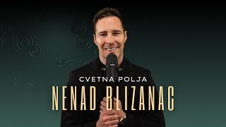 NENAD JOVANOVIC BLIZANAC  CVETNA POLJA arranger version [upl. by Airotna]