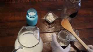 Starting your very first batch of Milk Kefir [upl. by Priest]