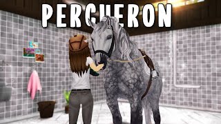 Buying the new Percheron horses in Star Stable Online [upl. by Adla747]