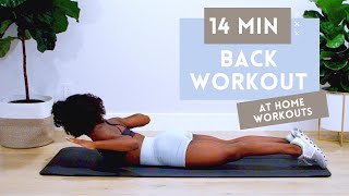 14 MINUTE BACK WORKOUT FOR STRONGER BACK  BETTER POSTURE  NO EQUIPMENT  BEGINNER  INTERMEDIATE [upl. by Oirretno863]