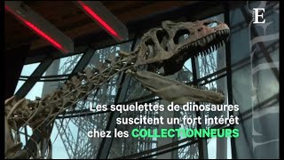 Pour 2 millions deuros un collectionneur sest offert un dinosaure [upl. by Abshier]