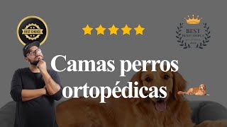 Top 7 Camas Perros Ortopédicas [upl. by Keryt481]