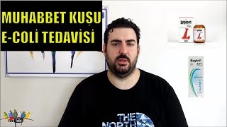 ECOLİ Escherichia Coli BAKTERİSİ VE TEDAVİSİ ll MUHABBET KUŞU ll KURUMA İLE KARIŞTIRMAYIN [upl. by Lower]