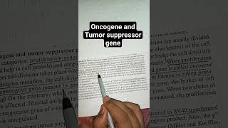 Cancer Oncogenes and Tumor Suppressor Genes shortsfeed genetics biology shorts [upl. by Mordecai]