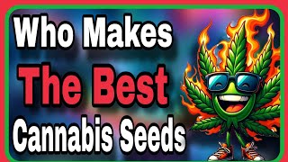 Quest For The Best Cannabis Strain Fanatic Solfire Gardens [upl. by Areta]