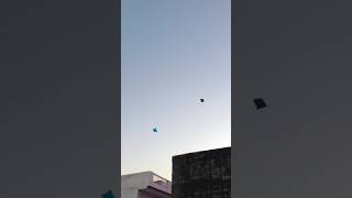 Kite fighting 🤩🤩 kiteflying kitefestival shorts viralshort [upl. by Alaaj]