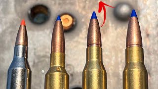 243 vs 65 vs 7mm08 vs 308 Not Even Close [upl. by Atiekal]