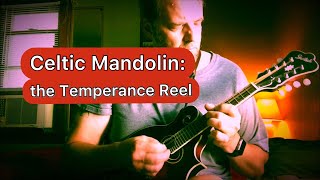 Celtic Mandolin the Temperance Reel with Backing Track [upl. by Ennaehr548]