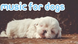 15 HOURS of Deep Sleep Relaxing Dog Music NEW Helped 10 Million Dogs [upl. by Feeley831]