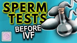 How good is your partners sperm for IVF Essential fertility tests for IVF success [upl. by Elephus]