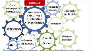 Neuropsychologie et troubles des apprentissages chez lenfant [upl. by Sirrot]