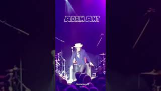 Adam Ant  Goodie Two Shoes [upl. by Ellerol]