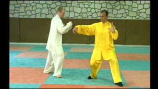 Leçon de Taiji Quan de combat Vol 3 [upl. by Rooker]