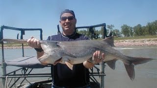 Bow fishing Paddle Fish Tips for Bow fishing Spoon Bill on the Missouri River [upl. by Rosenbaum]