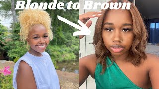 Dying Natural Hair from Blonde to Brown Hair  New Start [upl. by Esinyl]