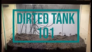 How to setup a Dirted Tank  Guide to a soil substrate Aquarium [upl. by Farl]