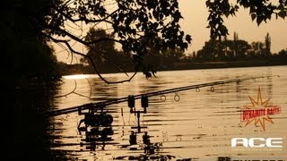 Video Live Blog Juli 2013 by Christian Grasshoff  Karpfenangeln Baggersee und Elbe [upl. by Twelve571]