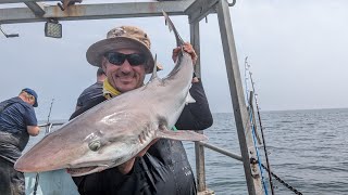 TOPE ON  Boat fishing on Julie Anne charters Amlwch Anglesey [upl. by Zendah]