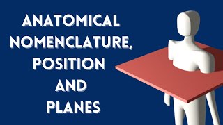 Anatomical position  Anatomical planes with 3d models  History of anatomical nomenclature [upl. by Acirre]