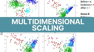 Multidimensional Scaling Analysis using SPSS  Perceptual Maps [upl. by Omari]