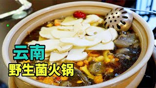 云南著名的野生菌火锅，20多种干菌加土鸡熬汤，三层楼天天坐满！【美食小胖带你浪】 [upl. by Laerol]