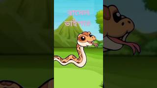 রাসেল ভাইপার কার্টুন  সাপের কার্টুন  siyaler cartoon bangla  siyaler cartoon cartoon animation [upl. by Ibbie]