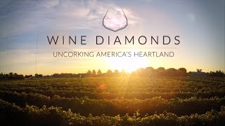 Wine Diamonds  Official Trailer 1 [upl. by Ecirbaf]