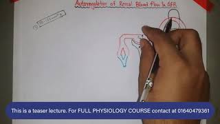 Autoregulation of GFR amp Renal Blood Flow  Renal Physiology  বাংলা [upl. by Anairam]