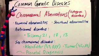 Chromosomal aberrations cytogenic disorders [upl. by Aley219]