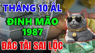 Tử Vi Tháng 10 Âm Lịch Tuổi ĐINH MÃO 1987 Đắc Tài Sai Lộc Tiền Bạc Xếp Đầy Nhà Giàu Nứt Vách [upl. by Gala]