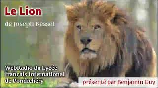 Le Lion de Joseph Kessel [upl. by Annoved971]