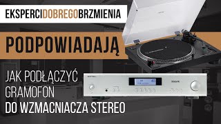 Jak podłączyć gramofon do wzmacniacza stereo  Poradnik [upl. by Salter]