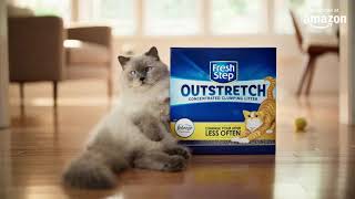 Cat litter review Discover ultimate clumping power [upl. by Hehre491]