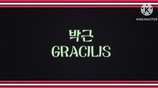 박근 두덩정강근의 길  WAY OF GRACILIS [upl. by Fletcher]