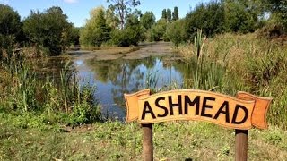 Ashmead Adventure  48hrs Carp Fishing [upl. by Robbins]