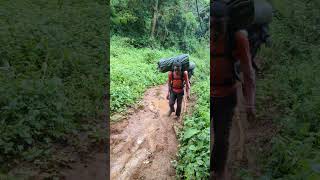 hiking Kilimanjaro lemosho route [upl. by Nivloc]