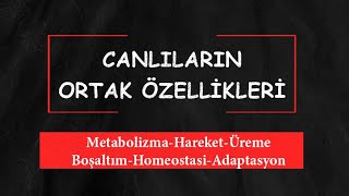 Canlıların Ortak Özellikleri 2 [upl. by Mccowyn]