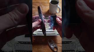 toasting a beautiful cigar in the afternoon 🌄🔥 asmr cigars Zigarre zigarren myhabanosmoment [upl. by Trevethick739]