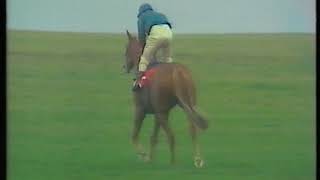 1990 Dewhurst Stakes Generous  Replay [upl. by Yatnuahc]