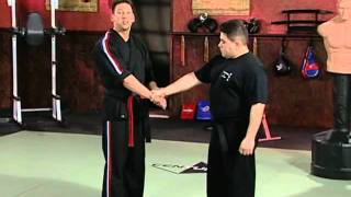 Scott Rogers Authentic Pressure Point  Volume 1 Fundamentals of Pressure Points Arms and Set Ups [upl. by Wren]