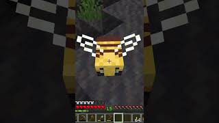 Can I have a pet bee Minecraft [upl. by Tyrrell]