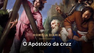 Homilia Diária  O Apóstolo crucificado com Cristo Festa de Santo André Apóstolo [upl. by Amsden]