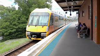 Wentworthville Trainspotting [upl. by Bergmann]