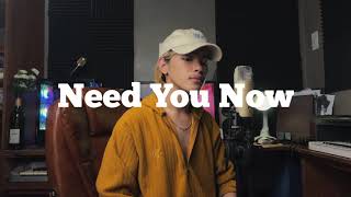 Need You Now Lady A cover by Arthur Miguel [upl. by Einaffets]