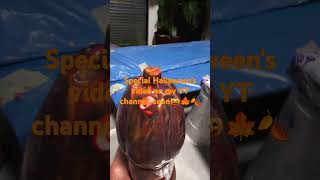 quotSPOOKY PUMPKIN 2quot NANAS FLUID REFLECTION ART sanjahotko8585 paint pouring 2 pumpkin fluidart [upl. by Garlan]