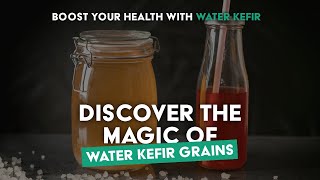 Transform Your Health with Water Kefir Grains – Easy Refreshing Probiotics at Home [upl. by Nicram984]