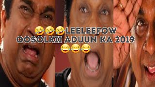 Leeleefow qosolka aduunka 2019 [upl. by Aralk]